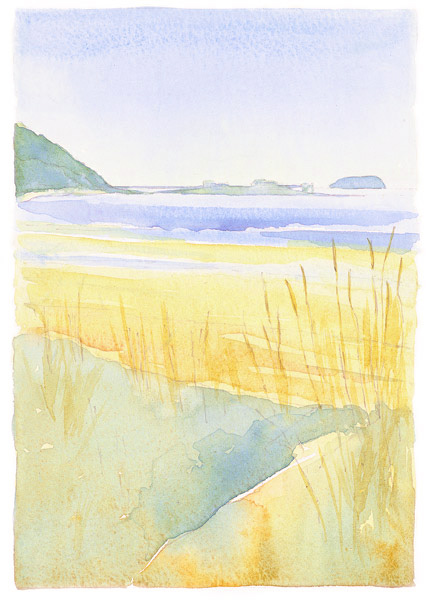 Page 97: Sand Bay looking to Birnbeck